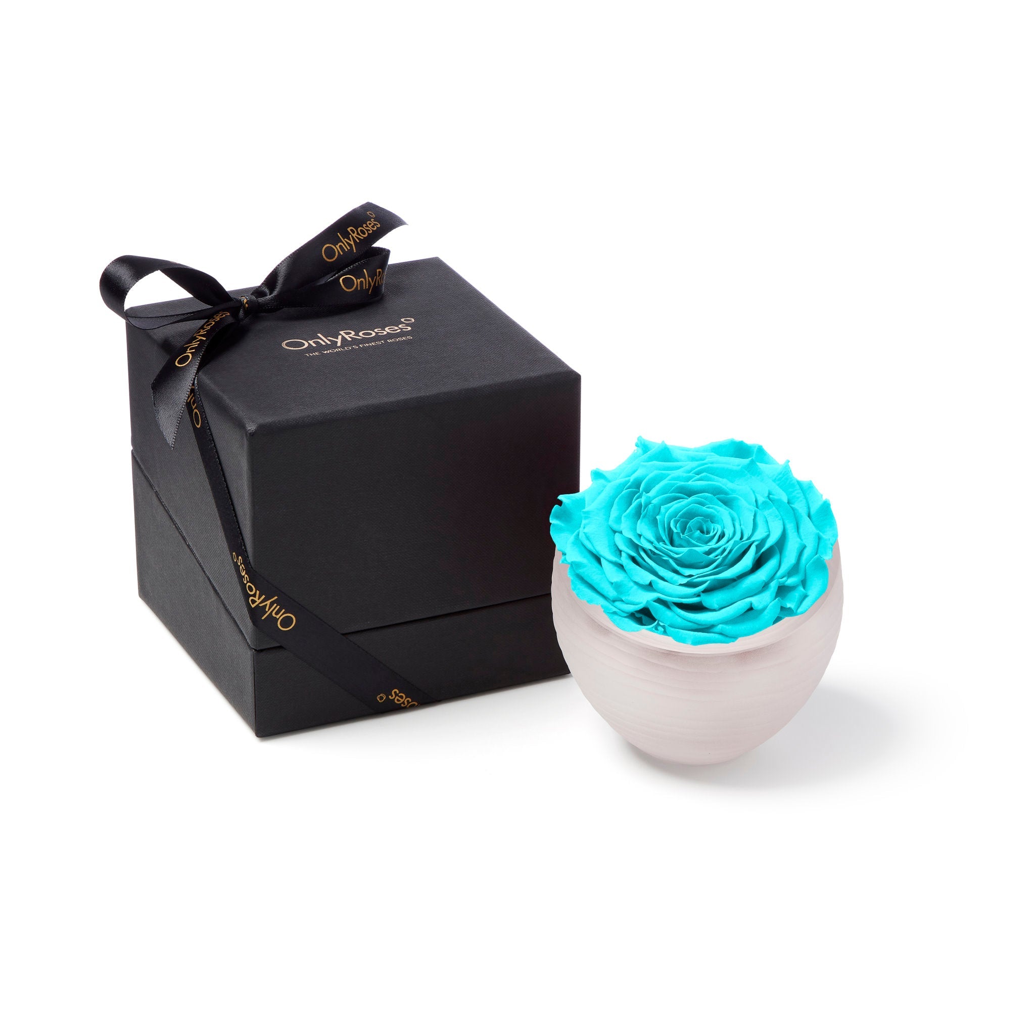 Turquoise rose in a white vase next to a black gift box with 'Only Roses' branding on a white background