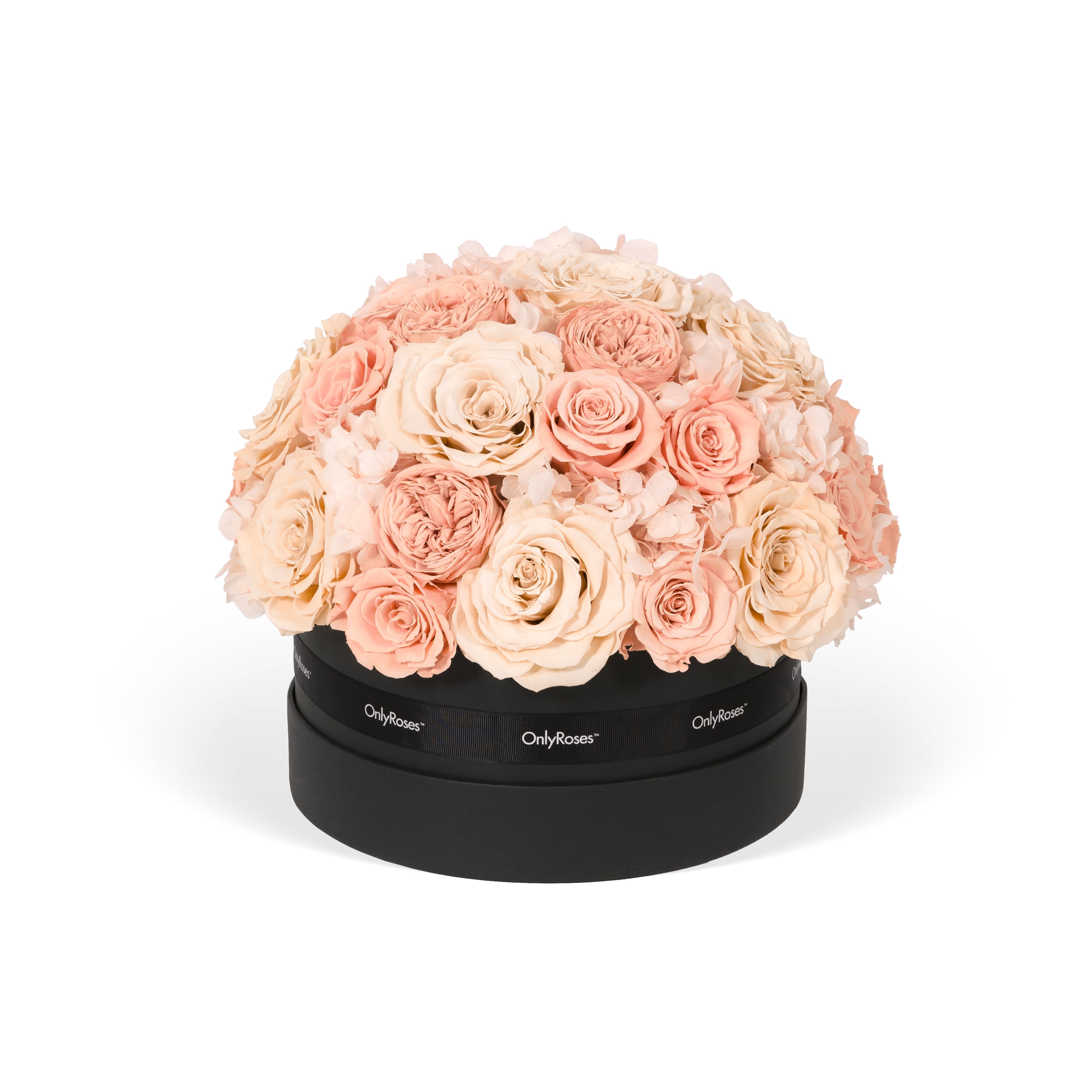 Black box with pink and white roses on a white background