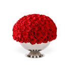 Bouquet of red roses in a white vase on a white background