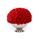 Bouquet of red roses in a white vase on a white background