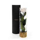 Clear cylindrical container with a white rose and gold base next to a black cylindrical packaging on a white background