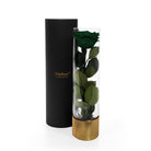 Black cylindrical container with gold base holding a preserved green rose on a white background