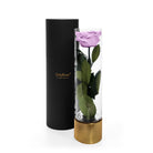 Purple rose in a clear cylindrical holder with gold base and black tube packaging on a white background