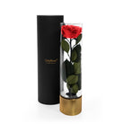 Red rose in a clear cylindrical holder with gold base and black lid on a white background