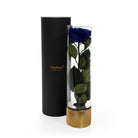 Eternal blue rose in a transparent vase with gold base next to a black cylindrical container on a white background