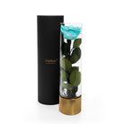Turquoise rose in a clear vase with gold base and black cylindrical container on a white background