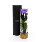 Purple rose in a clear vase with gold base and black cylindrical container on a white background