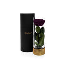 Black cylindrical container with a gold base holding a preserved purple rose on a white background