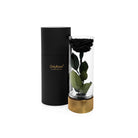 Black rose in a glass container with a gold base next to a black cylindrical box on a white background