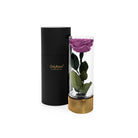 Purple rose in a glass vase with a black cylindrical container on a white background