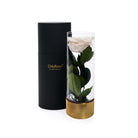 Black cylindrical container with 'OnlyRoses' branding next to a clear vase with a white rose and green leaves on a white background.