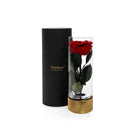 Red rose in a clear cylindrical vase with gold base and black cylindrical container on a white background