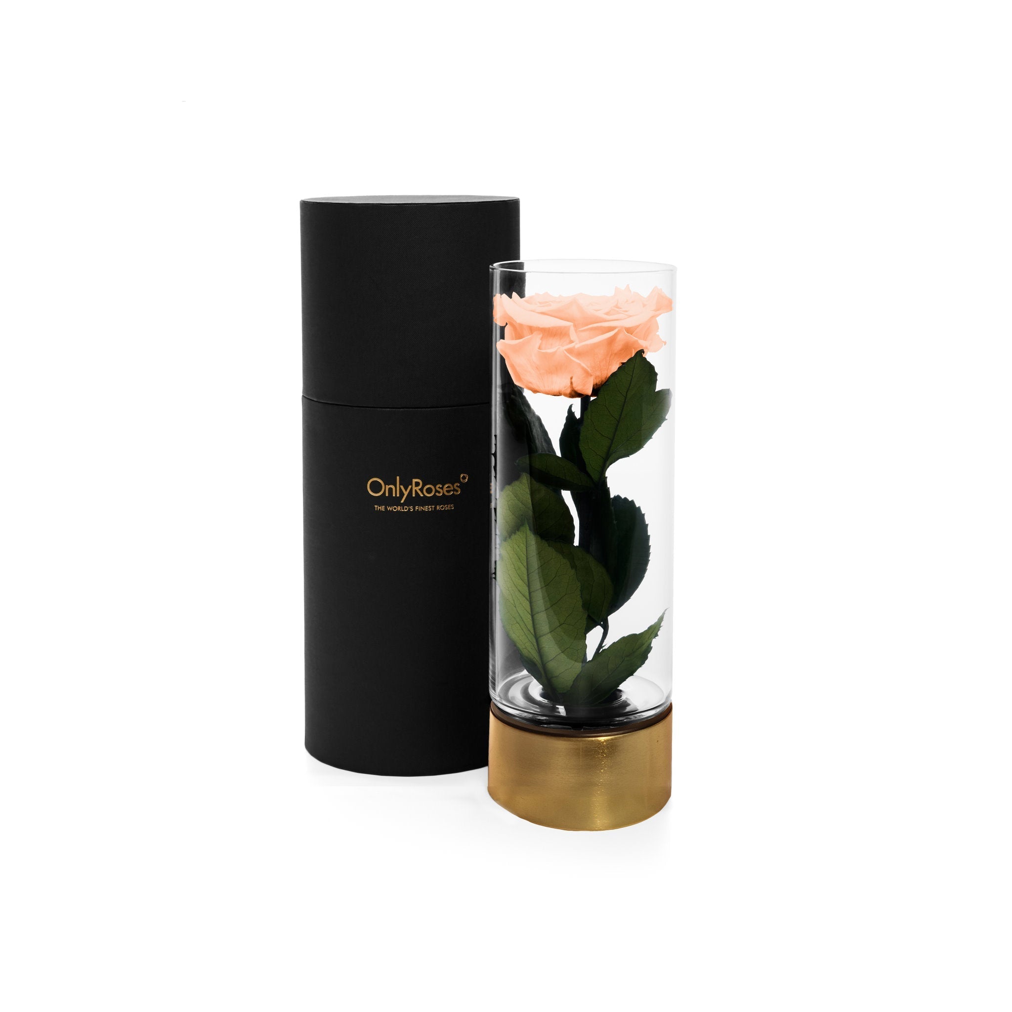 Black cylindrical container with 'Only Roses' branding next to a glass vase with a peach rose on a white background
