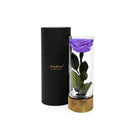Purple rose in a clear vase with gold base next to a black cylindrical container on a white background