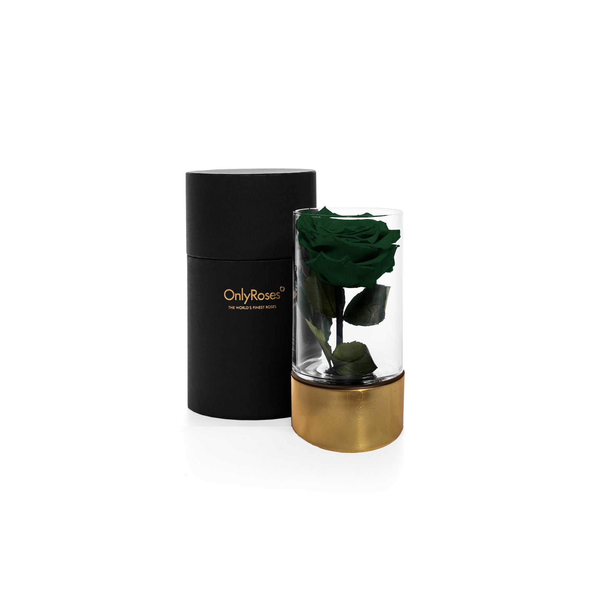 Green rose in a glass vase with a gold base next to a black cylindrical container on a white background, branded 'OnlyRoses'.