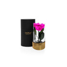 Pink rose in a clear vase with gold base next to a black box labeled 'OnlyRoses' on a white background