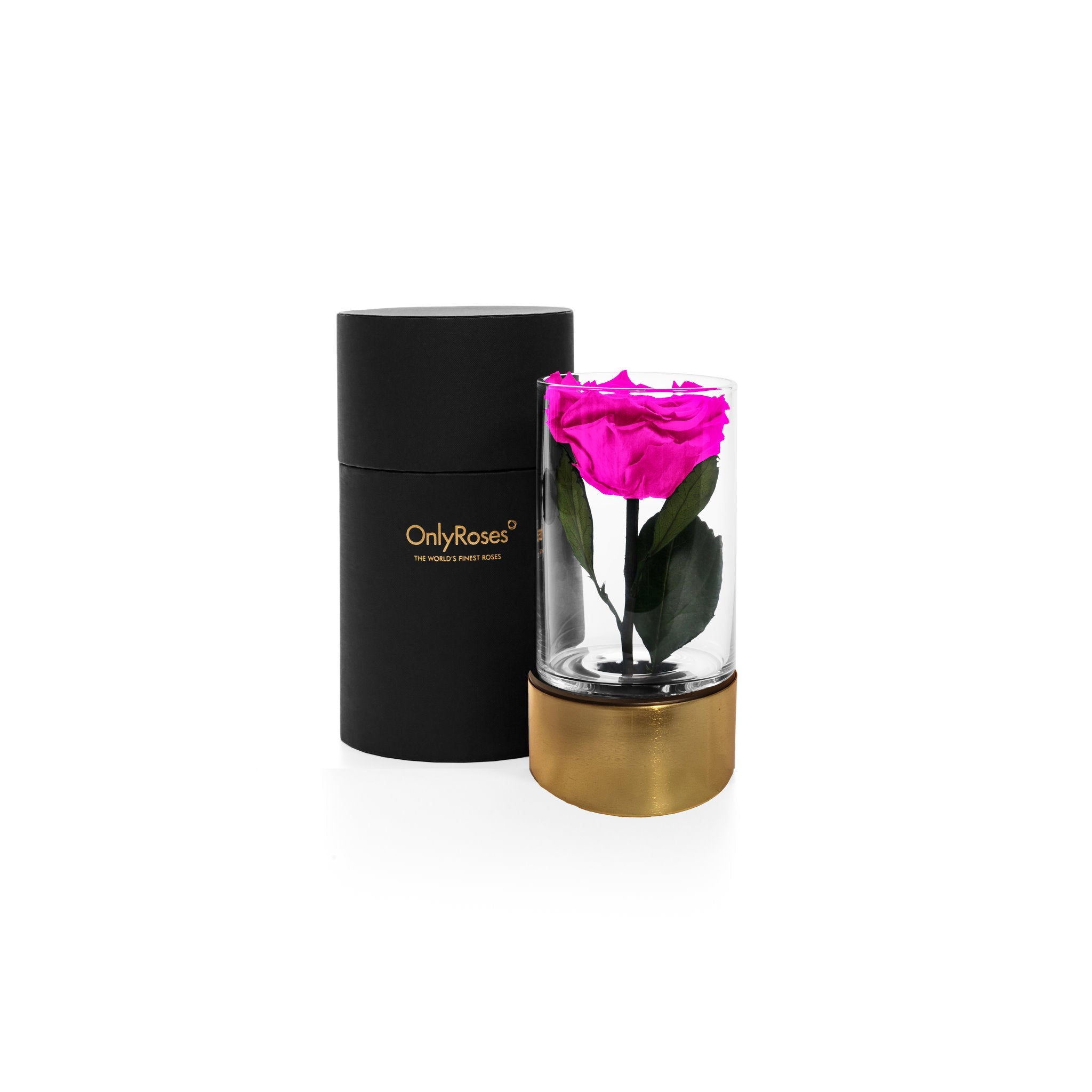 Pink rose in a clear vase with gold base next to a black box labeled 'OnlyRoses' on a white background