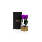 Purple rose in a clear vase with gold base next to a black box labeled 'OnlyRoses' on a white background