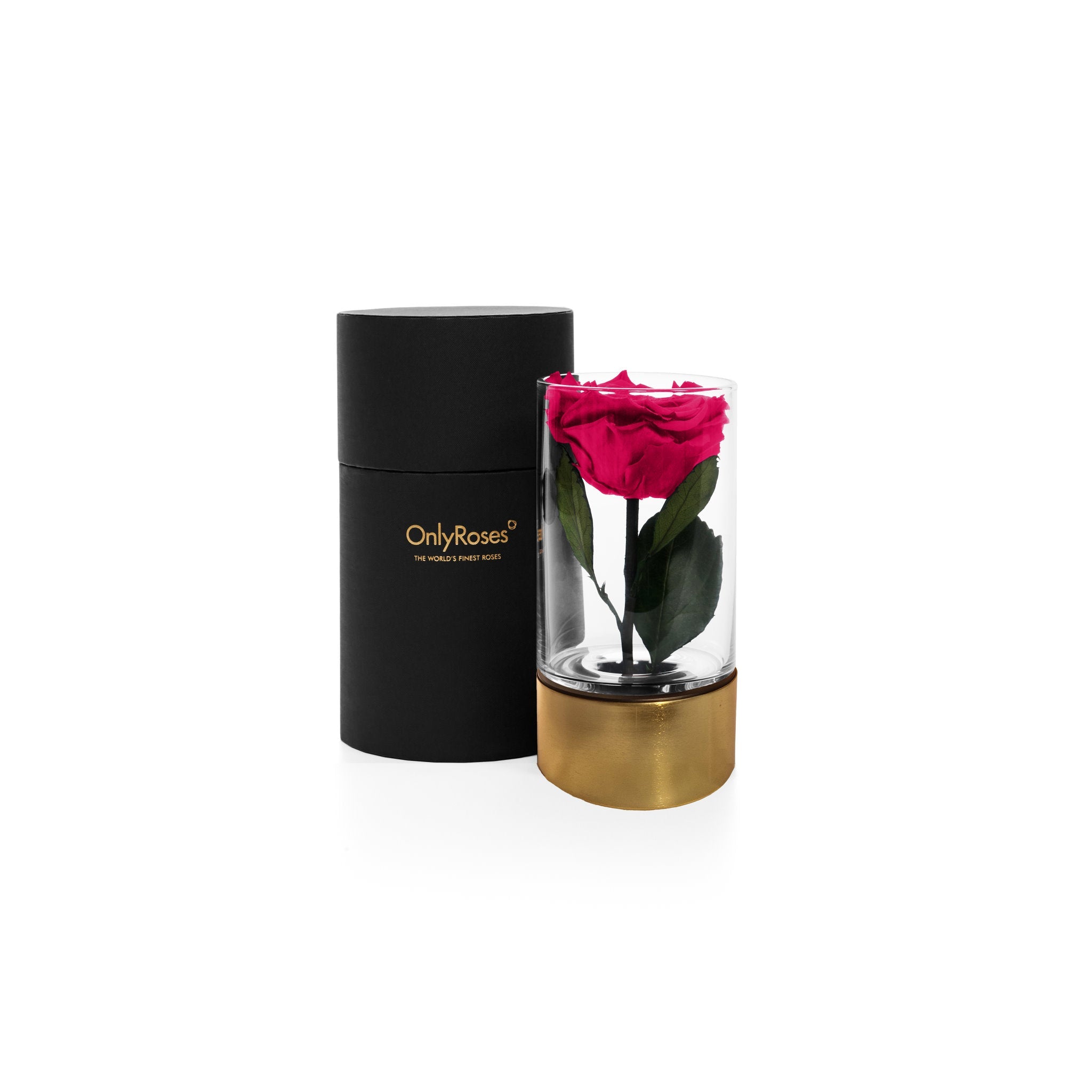 Pink rose in a clear vase with gold base next to a black box, both branded 'Only Roses'.