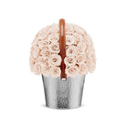 Decorative basket filled with beige roses on a white background