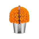 Bouquet of orange roses in a silver metal basket with a brown handle on a white background