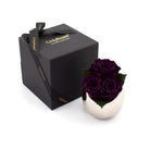 Black gift box with 'Only Roses' branding, containing a silver vase with purple roses on a white background.