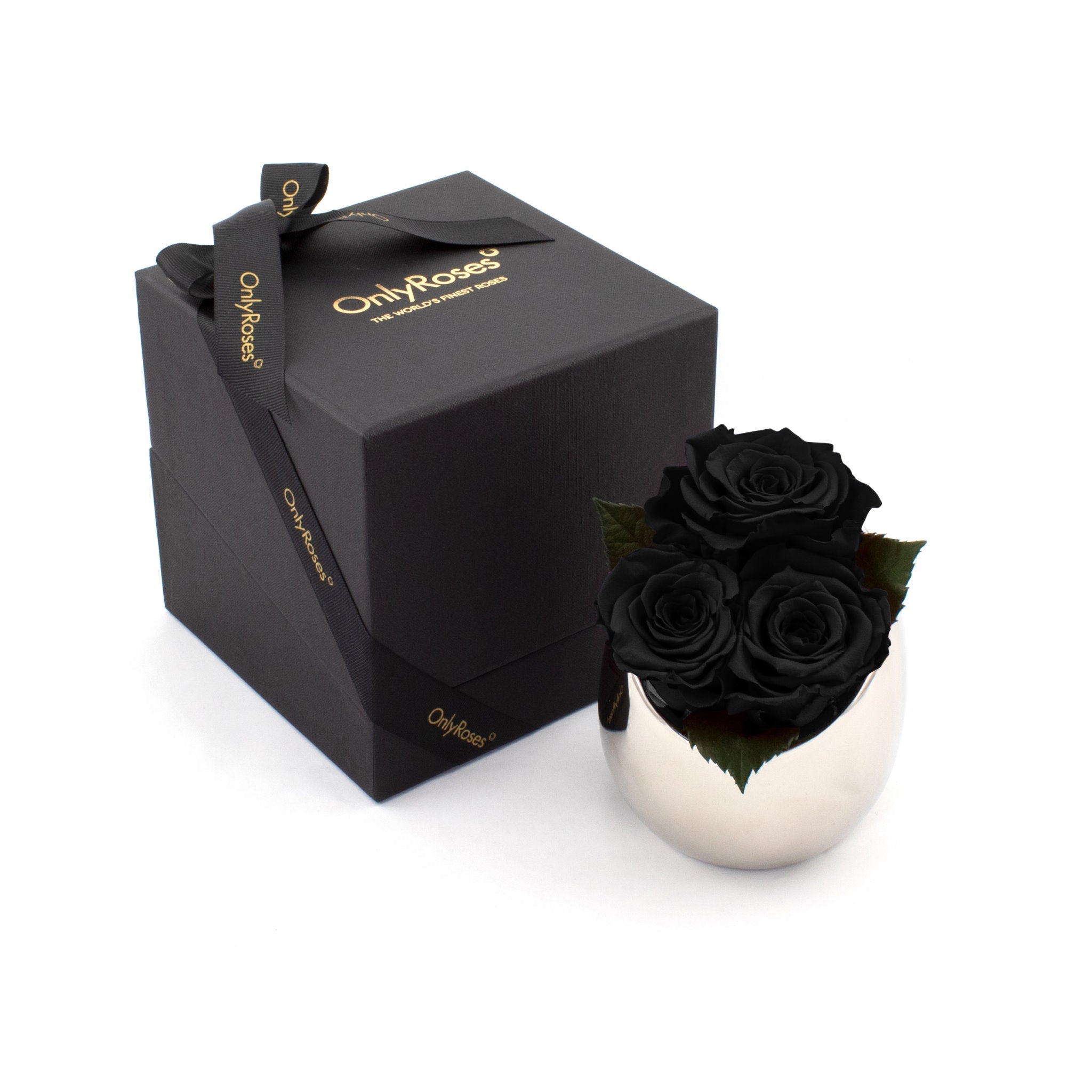 Black roses in a silver holder with a black box labeled 'Only Roses' on a white background