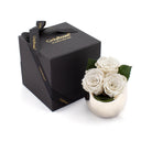 White roses in a small pot next to an 'OnlyRoses' branded black box on a white background