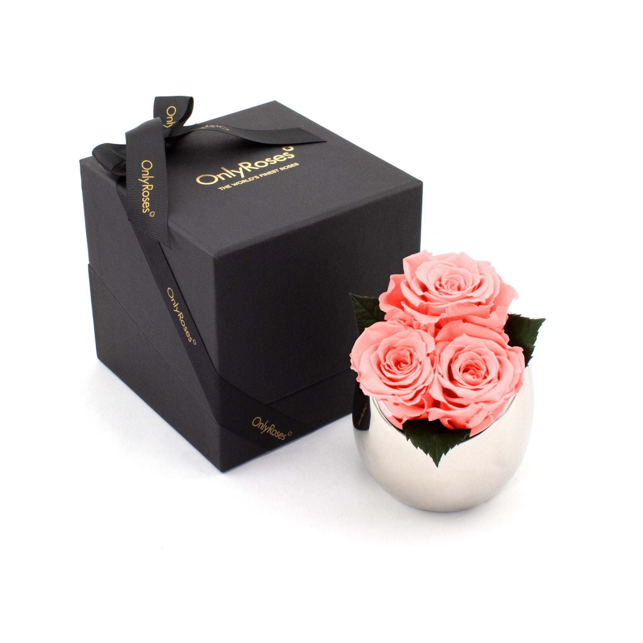 Pink roses in a silver vase next to a black box with 'Only Roses' branding on a white background