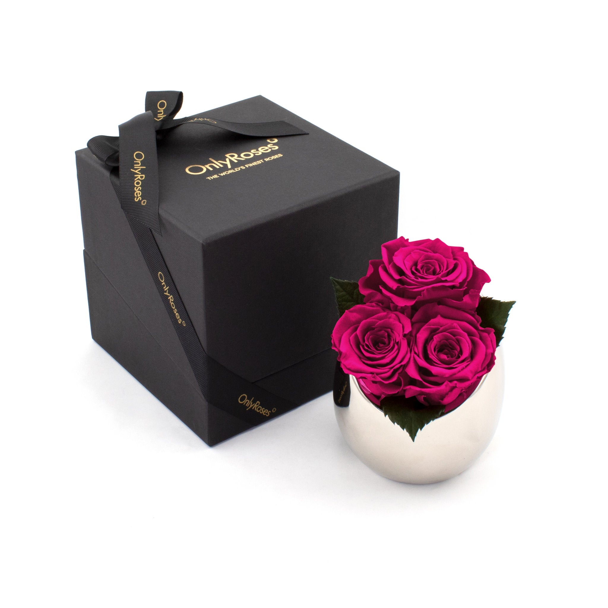 Three pink roses in a white vase next to an 'Only Roses' black box on a white background