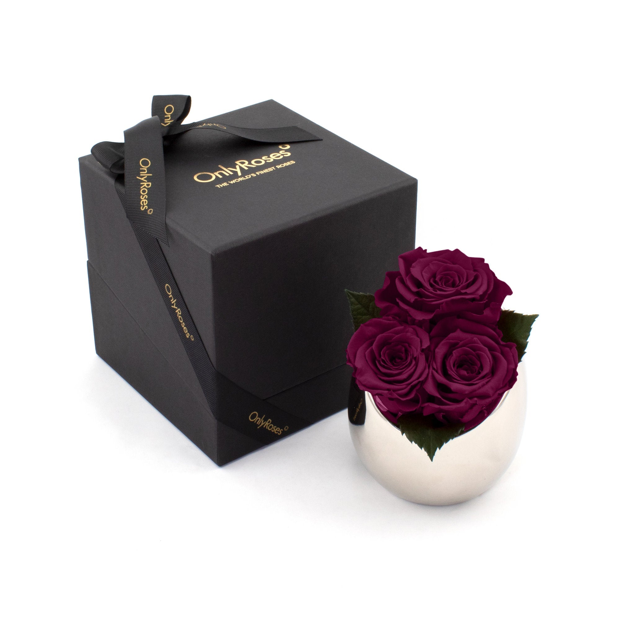 Three purple roses in a silver vase next to an 'Only Roses' black box on a white background