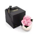Pink roses in a metallic vase with a black box labeled 'Only Roses' on a white background