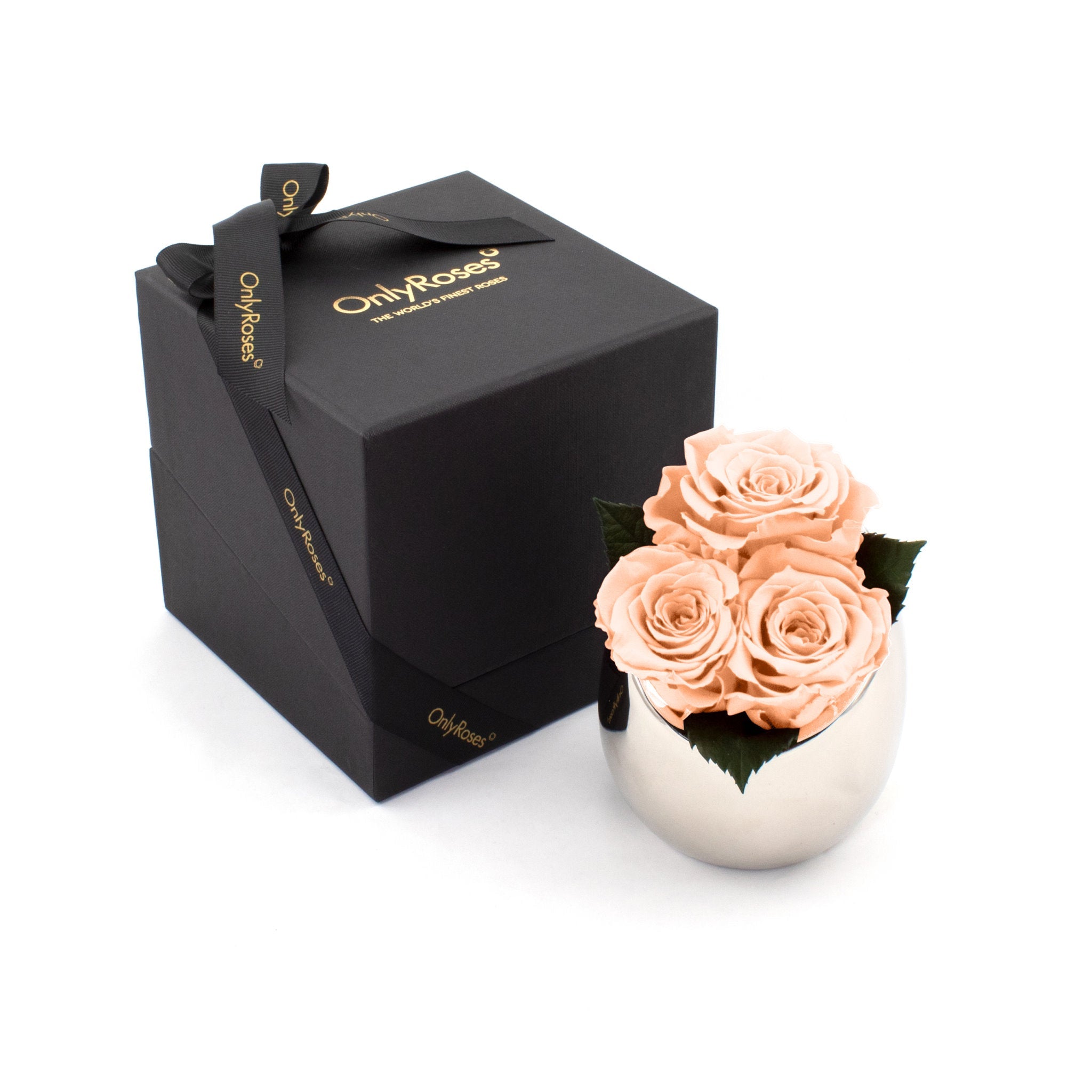 Pink roses in a silver vase with a black box labeled 'Only Roses' on a white background