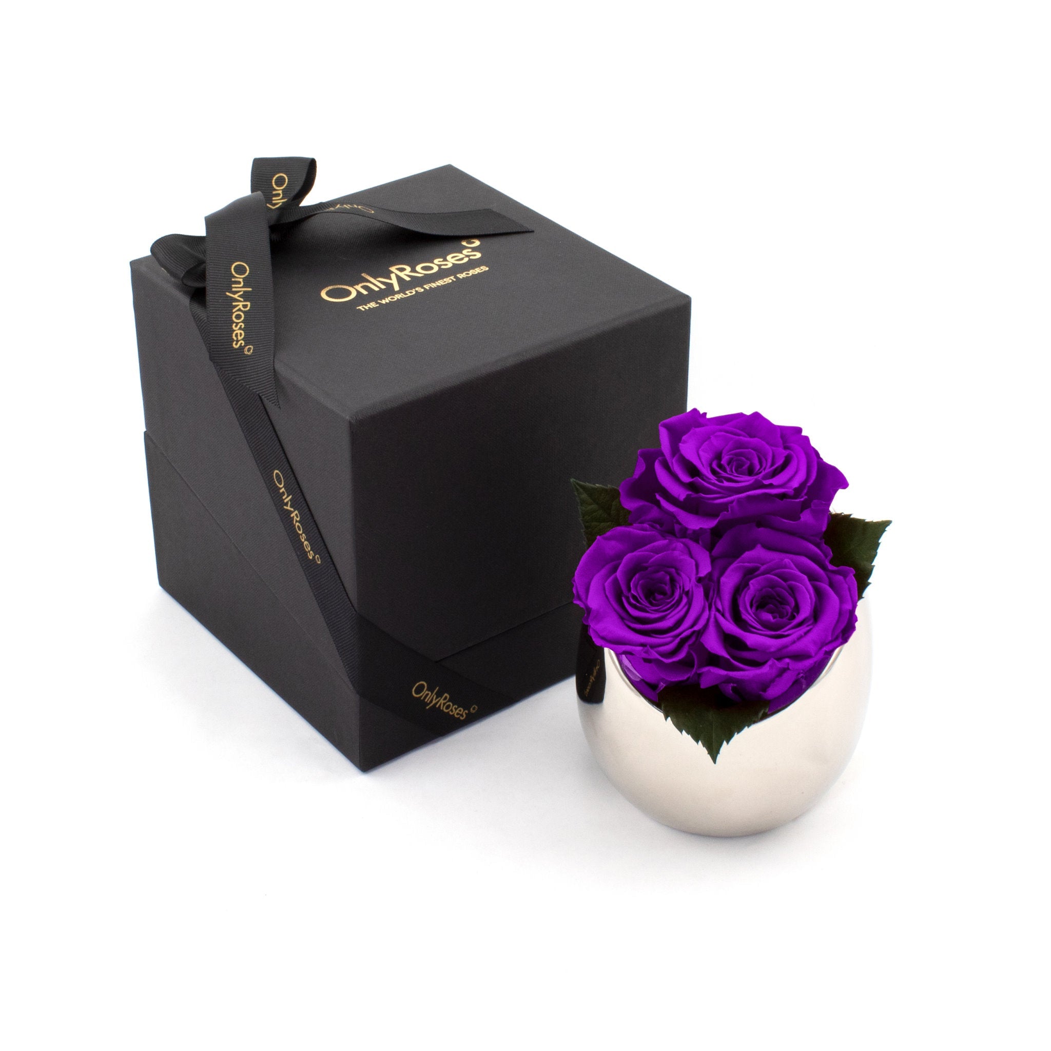 Three purple roses in a white vase next to an 'Only Roses' branded black box on a white background