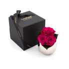 Pink roses in a silver vase next to an 'Only Roses' black box on a white background