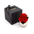 Three red roses in a silver vase next to an 'Only Roses' black box on a white background