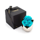 Turquoise roses in a silver vase next to an 'Only Roses' black box on a white background