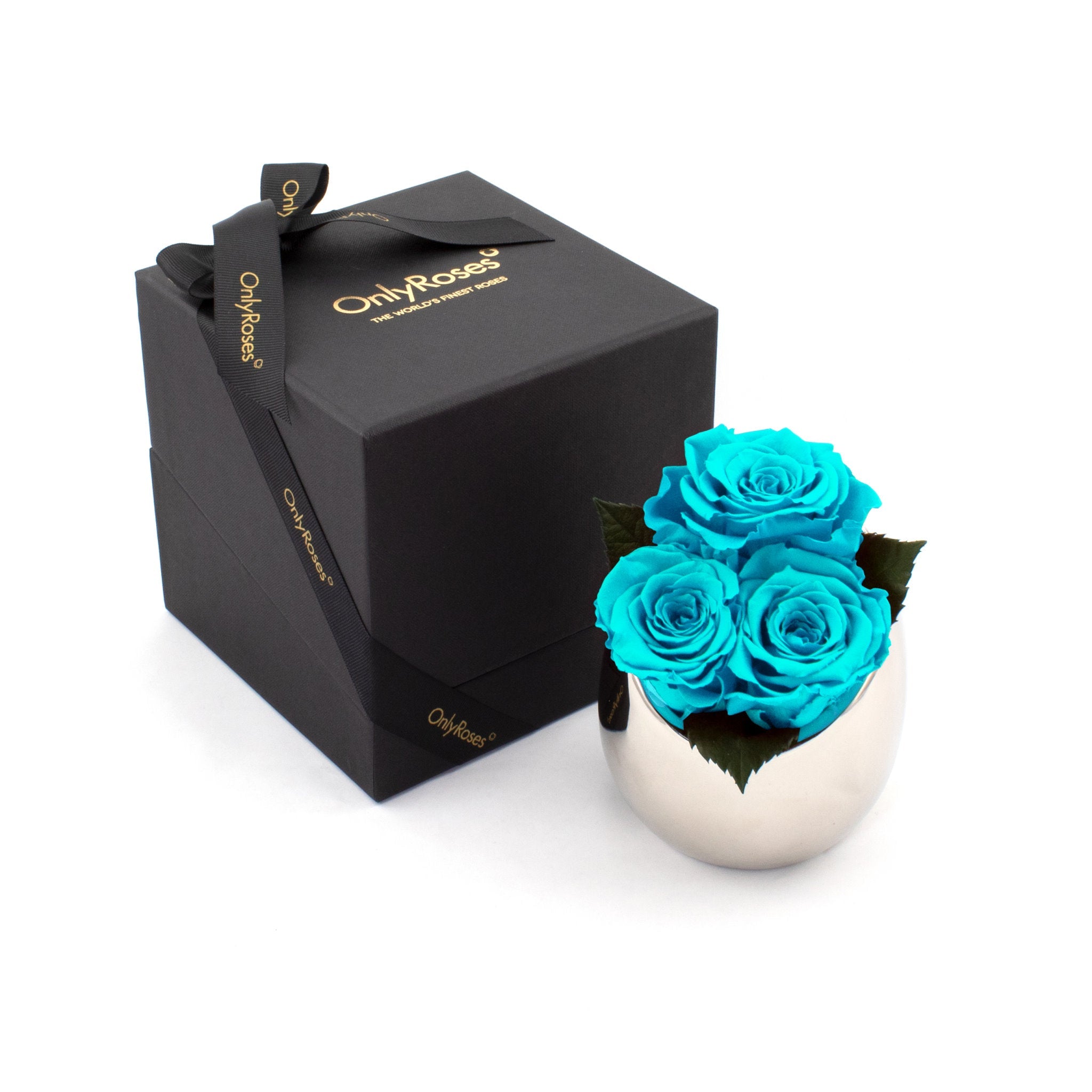 Turquoise roses in a silver vase next to an 'Only Roses' black box on a white background