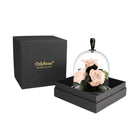 Glass dome with preserved roses inside, black box with 'OnlyRoses' branding on a white background