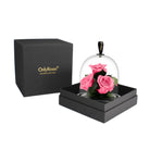 Pink roses under a glass dome in a black box with 'OnlyRoses' branding.