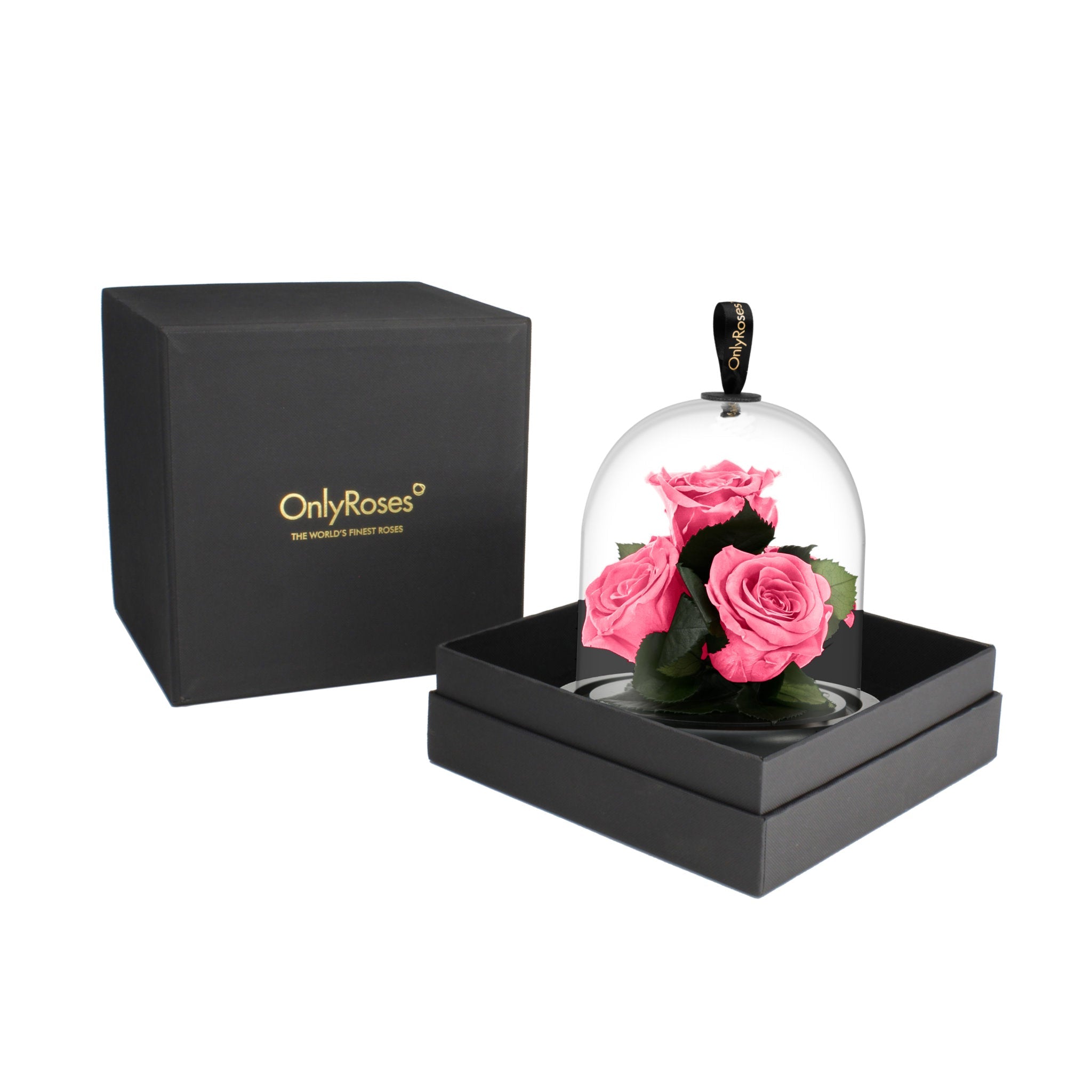 Pink roses under a glass dome in a black box with 'OnlyRoses' branding.