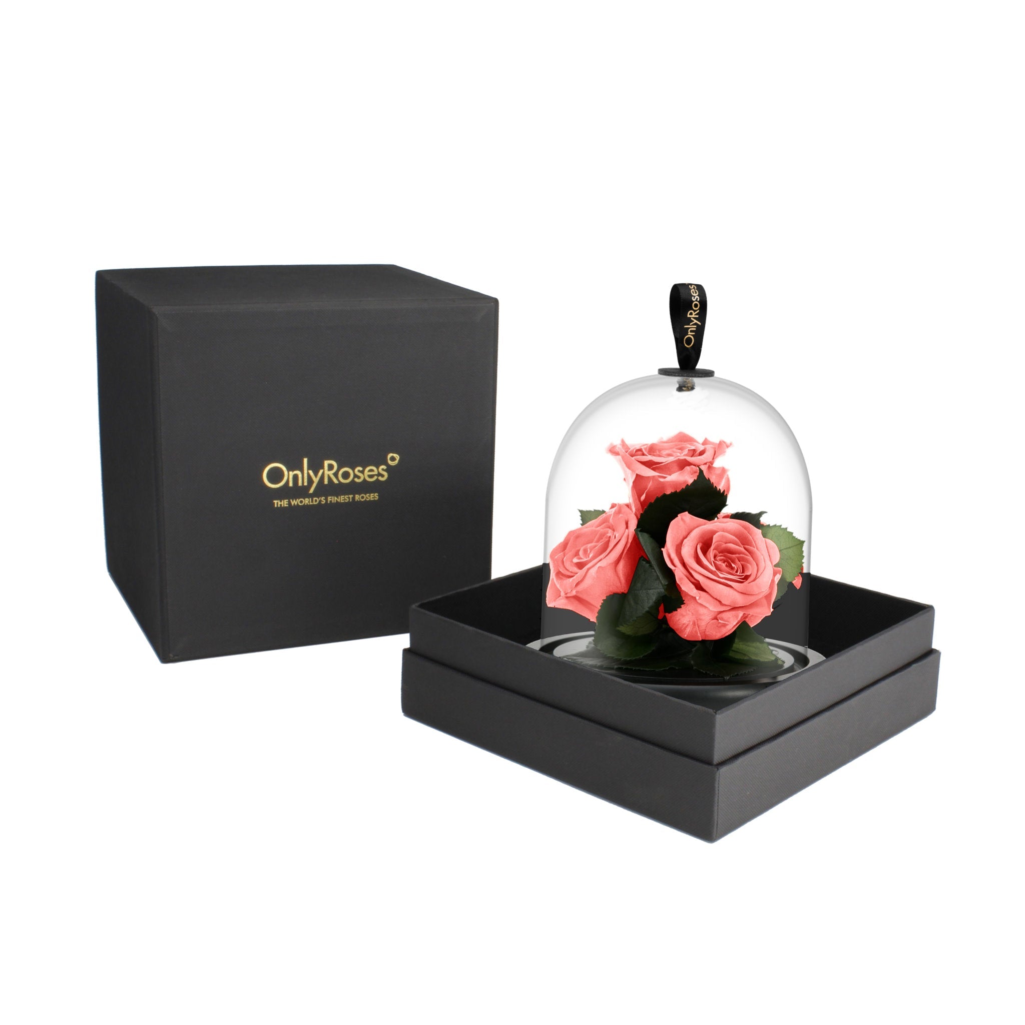 Pink roses under a glass dome in a black box with 'OnlyRoses' branding.