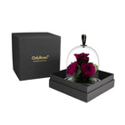 Black gift box with 'OnlyRoses' branding, containing a glass dome with preserved roses.