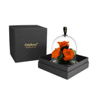 Black gift box with 'OnlyRoses' branding, containing a glass dome with orange roses.