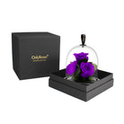Purple roses under a glass dome in a black box with 'OnlyRoses' branding.