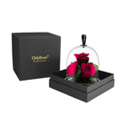 Two red roses under a glass dome in a black box with 'Only Roses' branding.