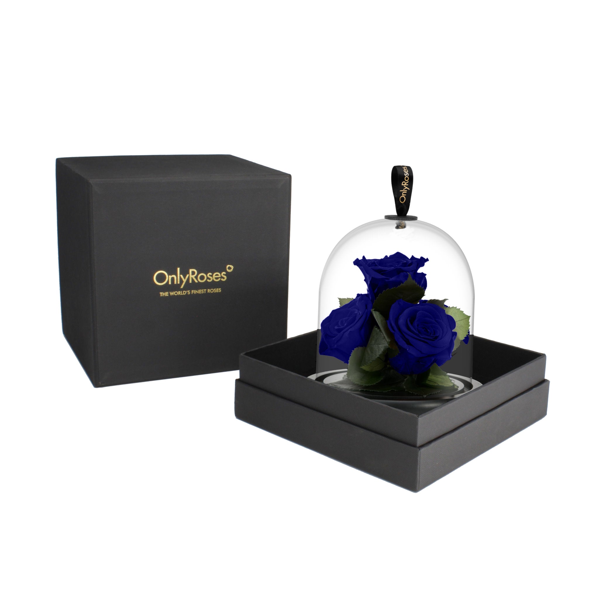 Three blue roses under a glass dome in a black box with 'OnlyRoses' branding.