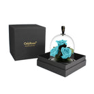 Turquoise roses under a glass dome in a black box with 'OnlyRoses' branding.