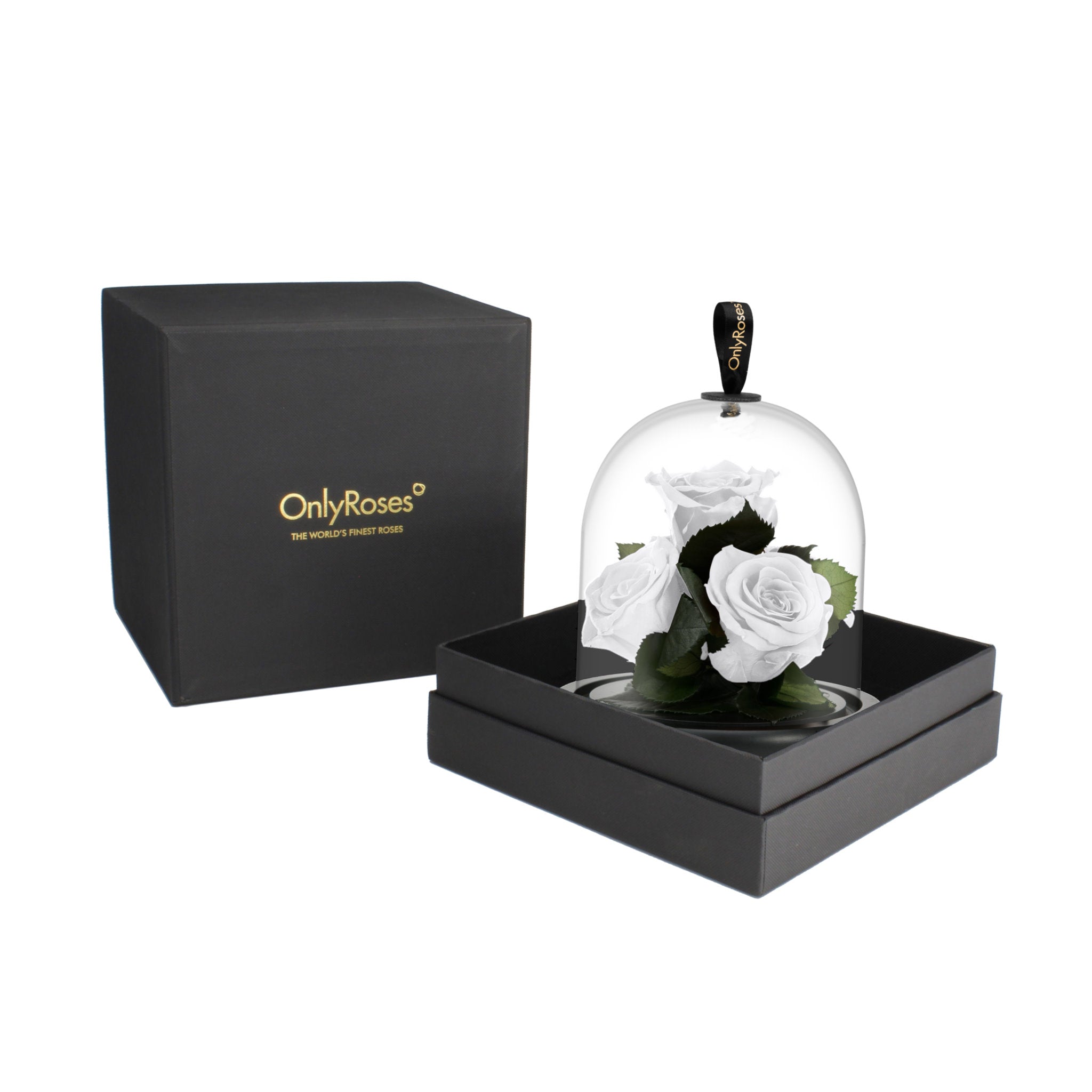 Glass dome with white roses inside, black box with 'OnlyRoses' branding on a white background