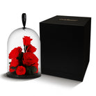Red roses under a glass dome with a black box labeled 'Only Flowers' on a white background